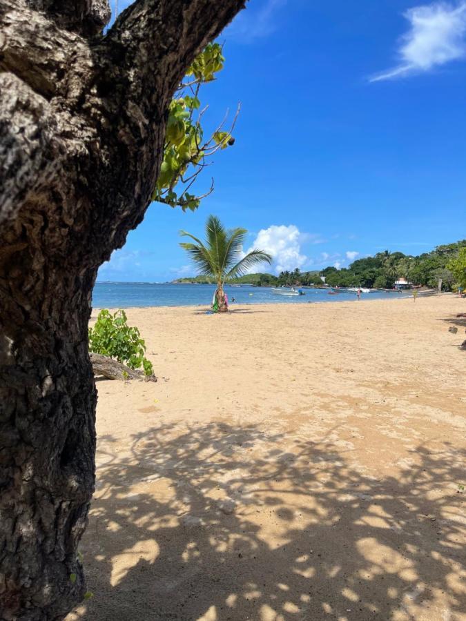 Appartement Vue Mer A 2 Minutes A Pied Des Plages Tartane La Trinité Eksteriør billede
