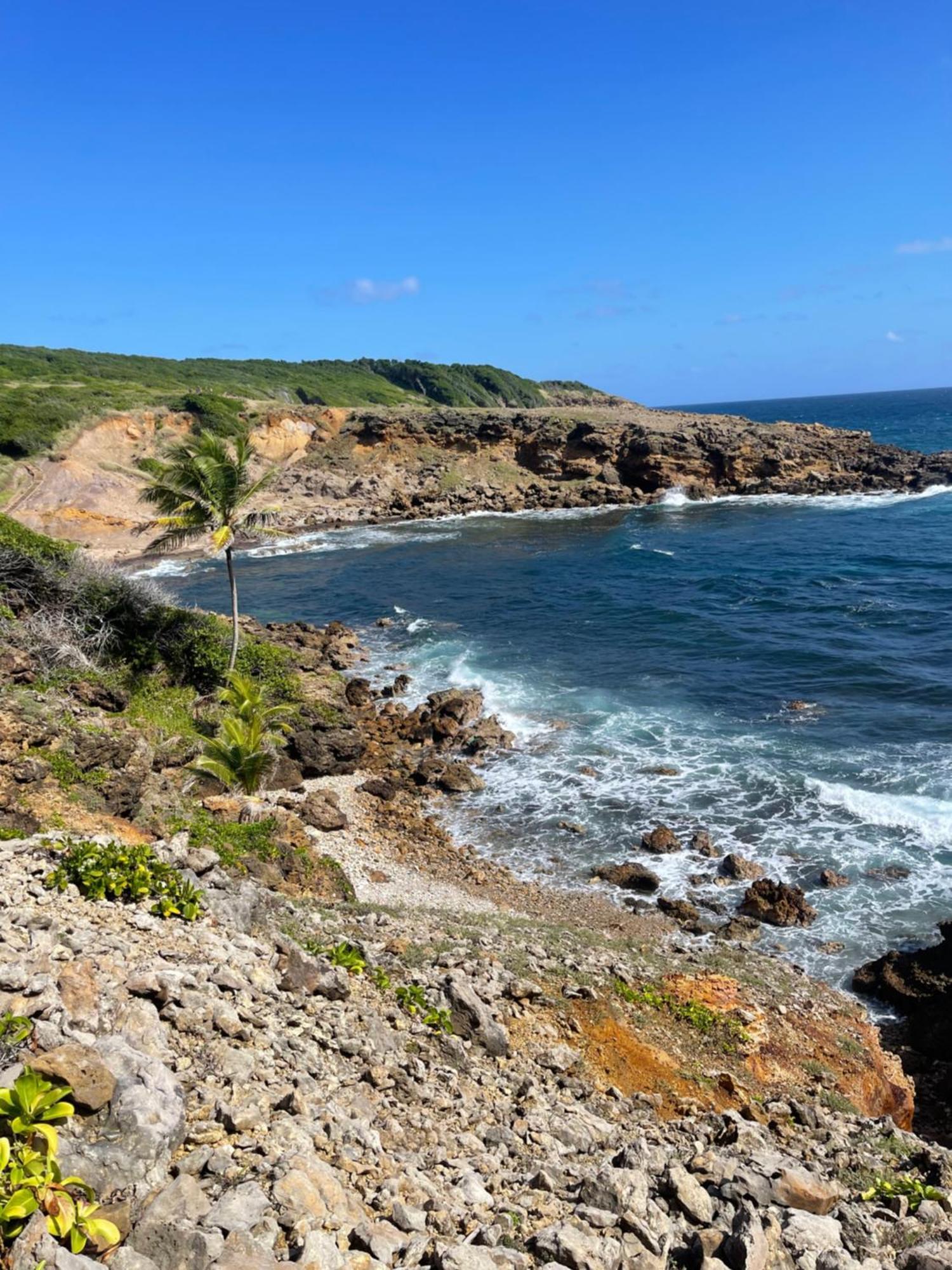 Appartement Vue Mer A 2 Minutes A Pied Des Plages Tartane La Trinité Eksteriør billede